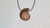 Ammonite Pendant Necklace. 0368